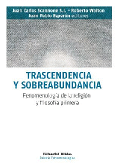 Trascendencia y sobreabundancia. Trascendencia y sobreabundancia.