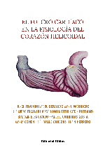 El fulcro cardíaco en la fisiología del corazón helicoidal