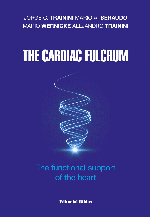 The Cardiac Fulcrum