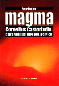 Magma.
